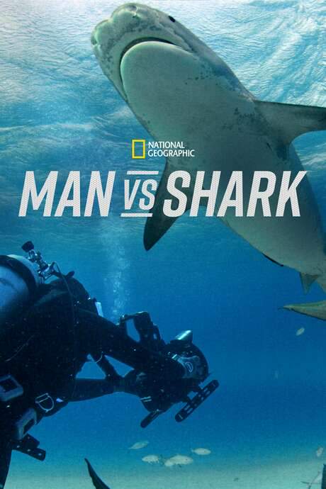 Man vs. Shark